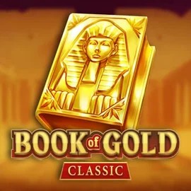 game logo by Playson on stakeprixx.de