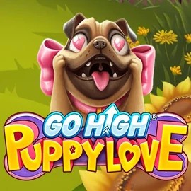 game logo by RubyPlay on stakeprixx.de